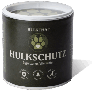 HULKSCHUTZ